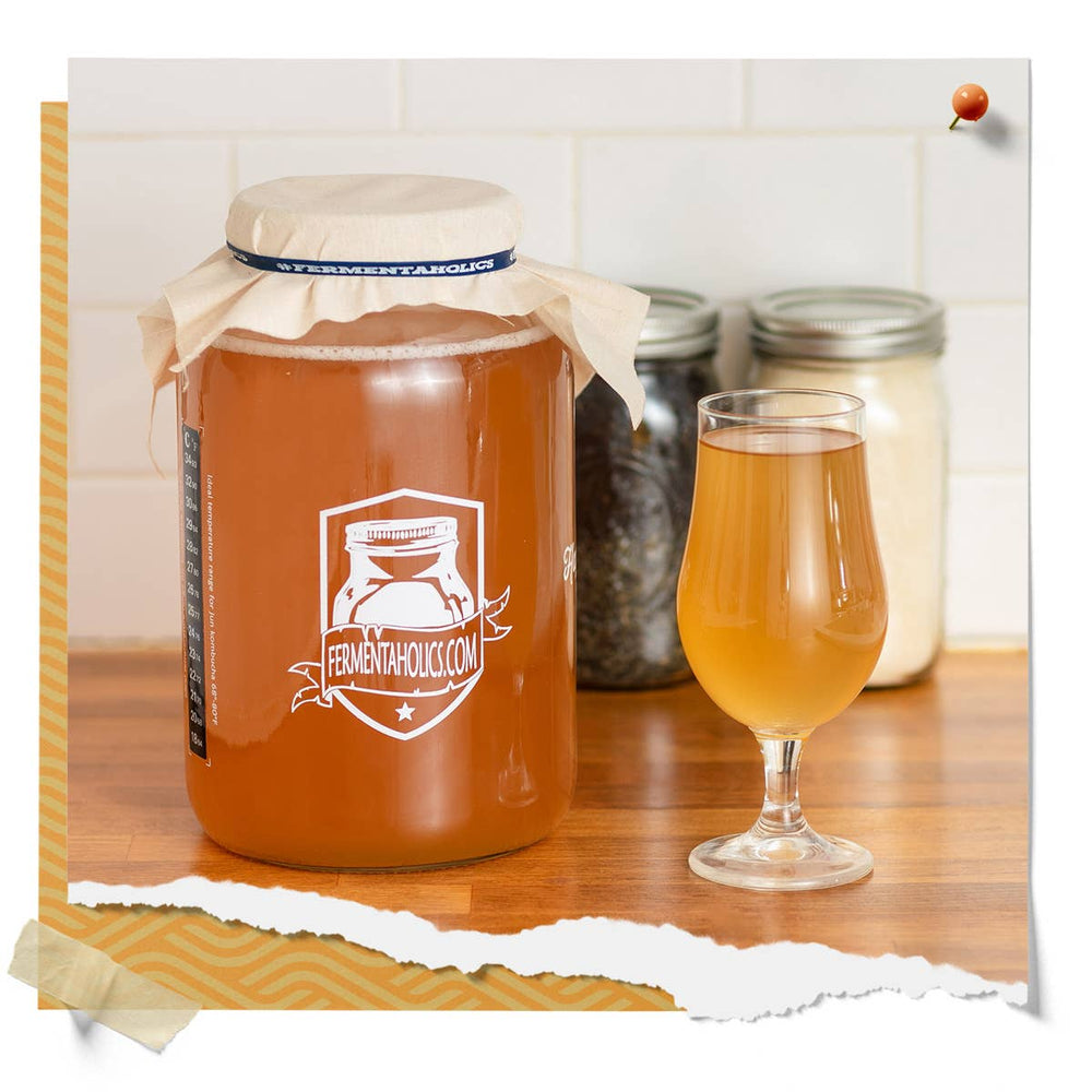 Jun Kombucha Scoby