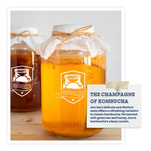 Jun Kombucha Scoby