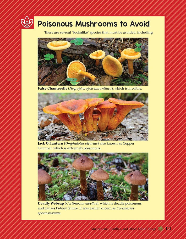 A Guide to Wild Food Foraging - Finding and Preparation