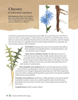 A Guide to Wild Food Foraging - Finding and Preparation
