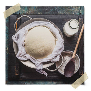 DIY Fresh Cheese Making Kit