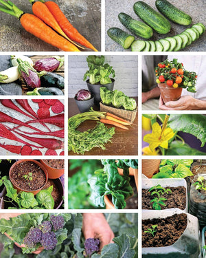 How to Garden Indoors & Grow Your Own Food Year Round