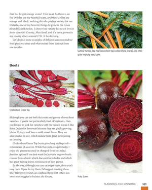 How to Garden Indoors & Grow Your Own Food Year Round