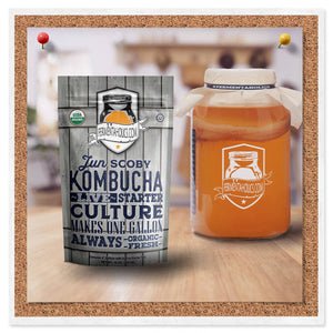 Jun Kombucha Scoby