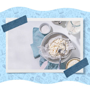 DIY Fresh Cheese Making Kit