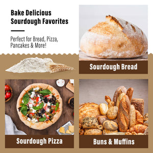 Organic Freeze Dried Sourdough Starter. 12 gr