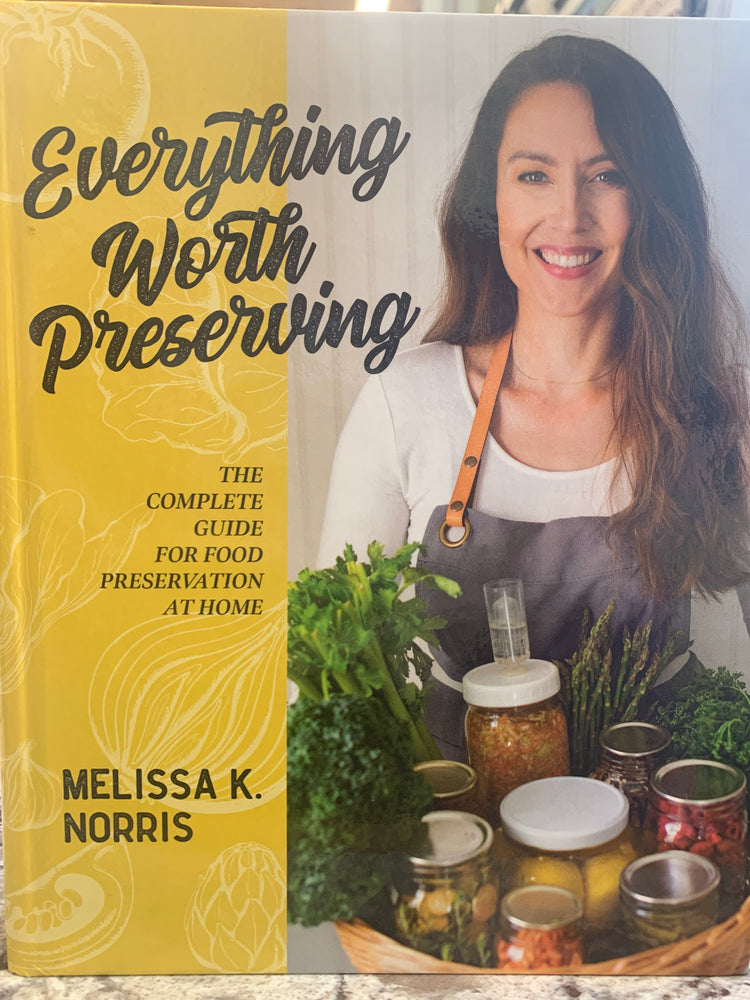 Everything Worth Preserving by Melissa K. Norris