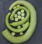 Squash, Zucchetta Rampicanta (organic)