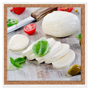 DIY Fresh Cheese Making Kit