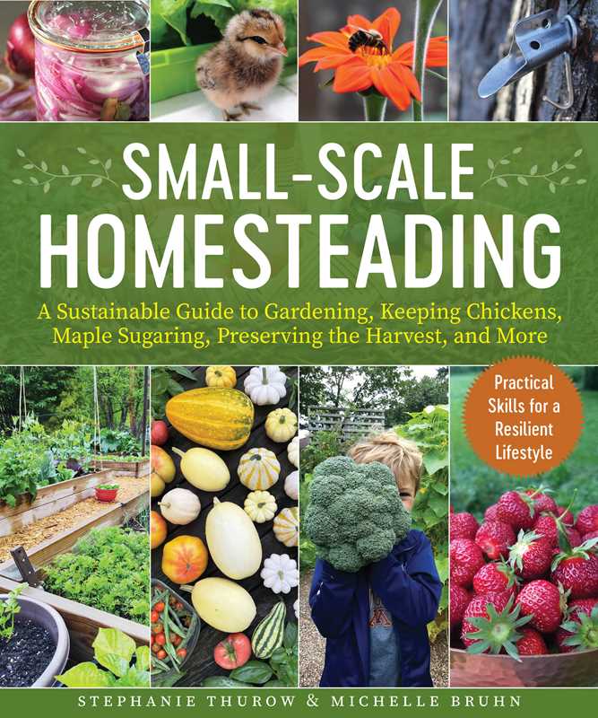 Small-Scale Homesteading by Stephanie Thurow