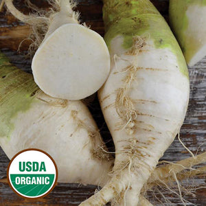 Rutabaga, Westport Macomber Turnip (organic)