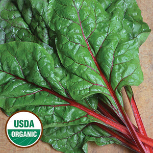 Swiss Chard, Rhubarb Red (organic)