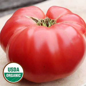 Tomato, German Pink (organic)