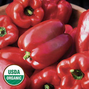 Pepper, King of the North (organic)