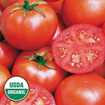 Tomato, John Baer (organic)