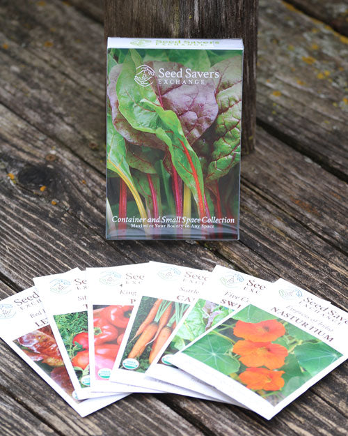 Seed Collection, Container and Small Space