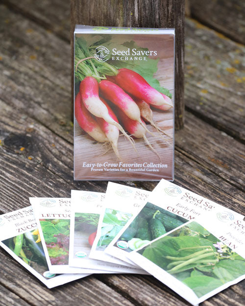 Seed Collection, Easy to Grow Favorites