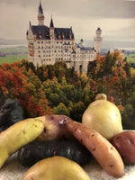 Old World Collection Seed Potatoes, Certified Organic  1 pound
